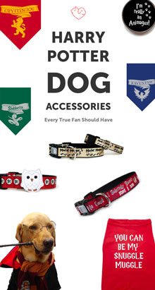 14 Unique Harry Potter Dog Accessories Every True Fan Should Have