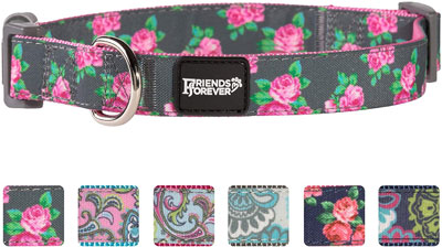 Friends Forever Paisley Dog Collar