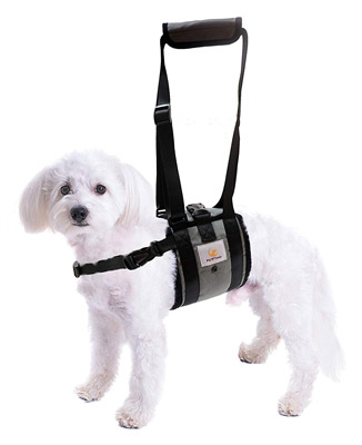 Veterinarian Approved Dog Support Harness