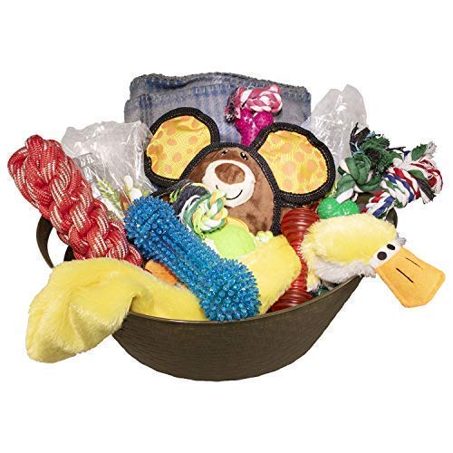 Gift Basket with Durable Dog Toys