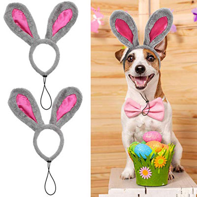 Easter Bunny Headband for Dogs