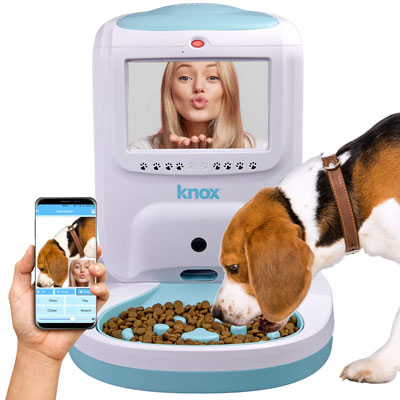 Knox Dog Feeder with 2 Way Video and Audio