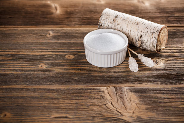 Xylitol Toxic to Dogs