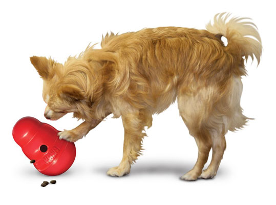 Kong Wobbler for Dogs with Anxiety