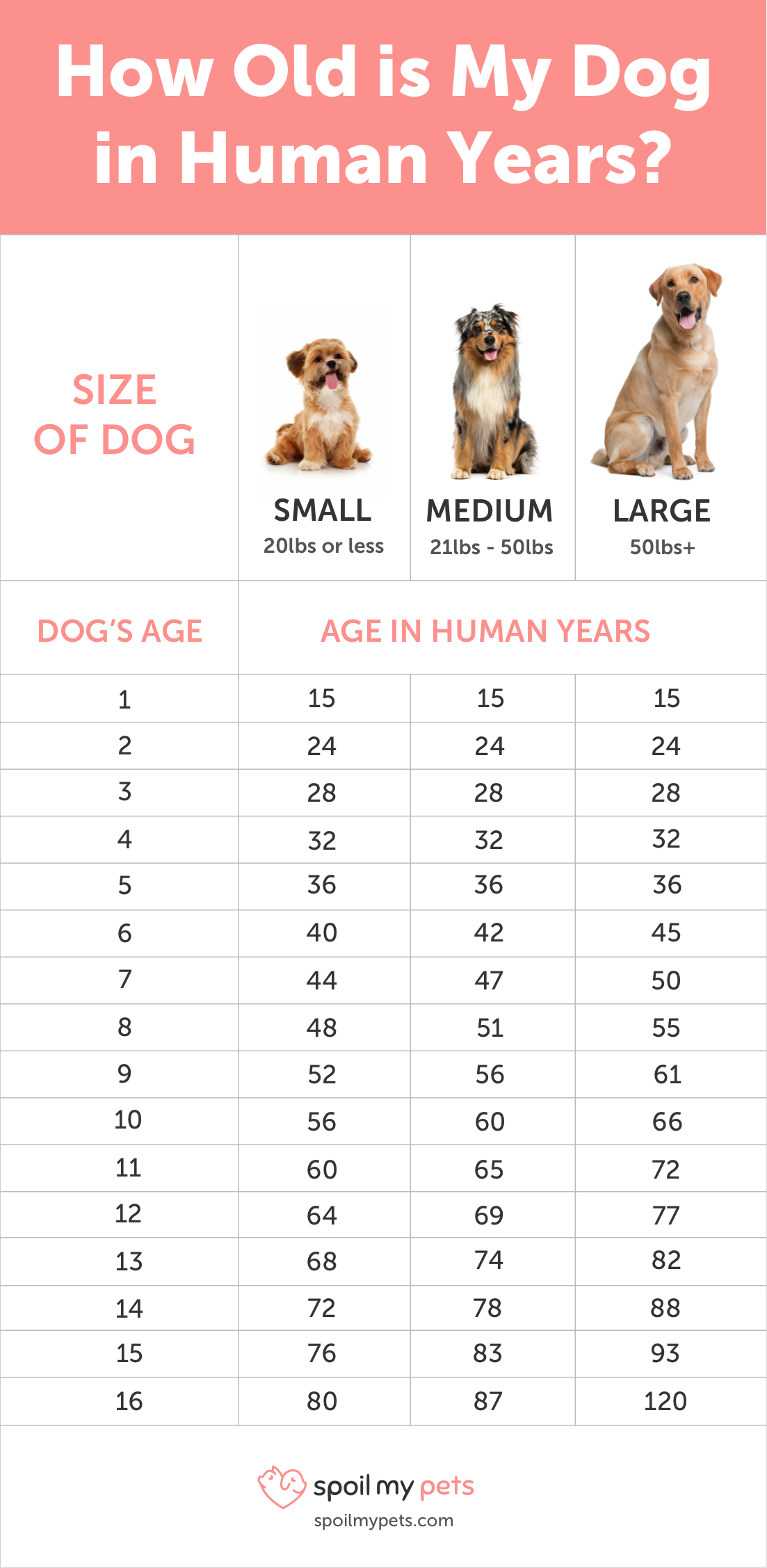 Dog Age Chart