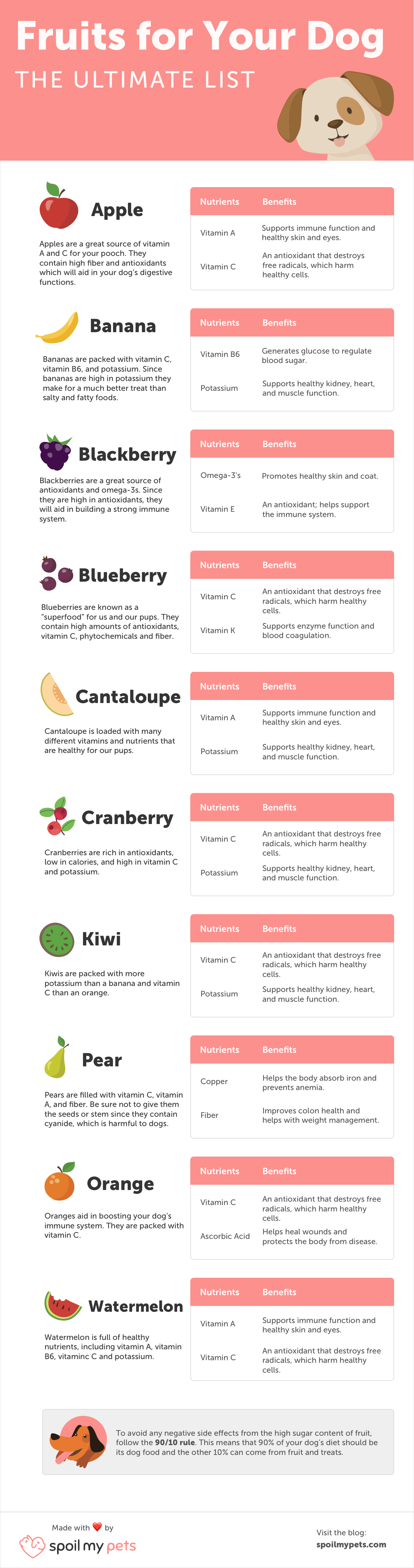 Fruits your Dog Can Eat infographic