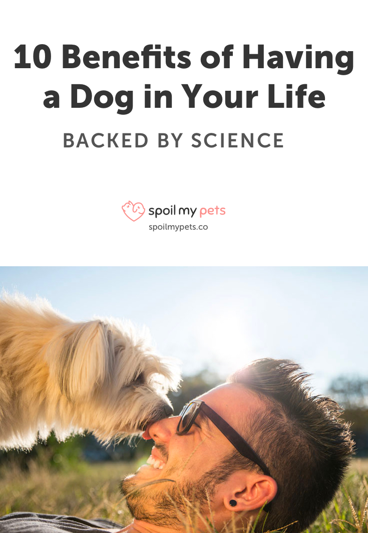 10 Amazing Benefits Of Having A Dog In Your Life, Backed By Science