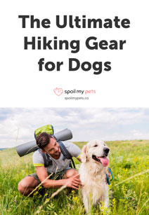 The Ultimate Hiking Gear for Dogs