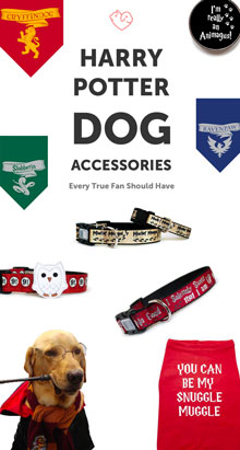 harry potter dog collars