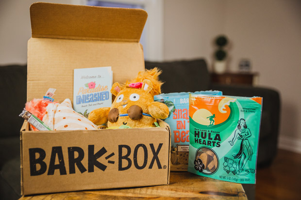 BarkBox