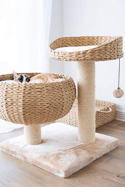 Bowl-Shaped with Perch Cat Tree