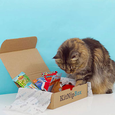 KitNipBox - Monthly Cat Subscription Box of Cat Toys, Treats and Goodies
