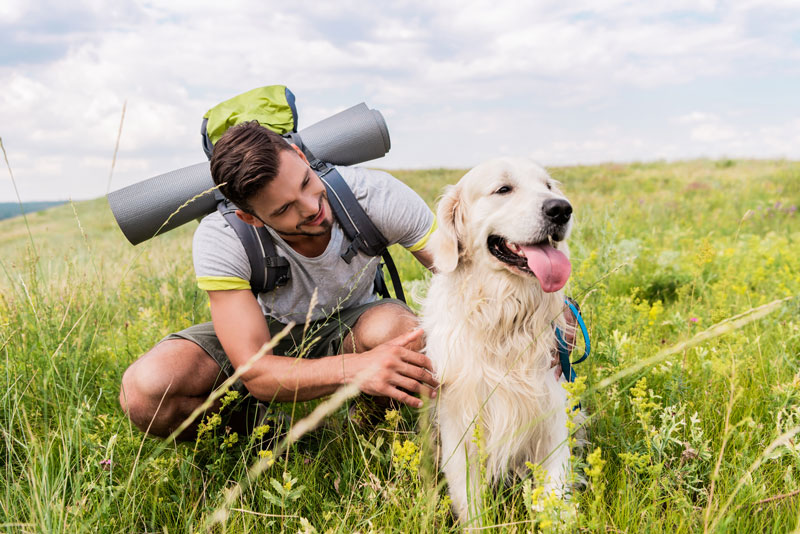 The Ultimate Hiking Gear for Dogs