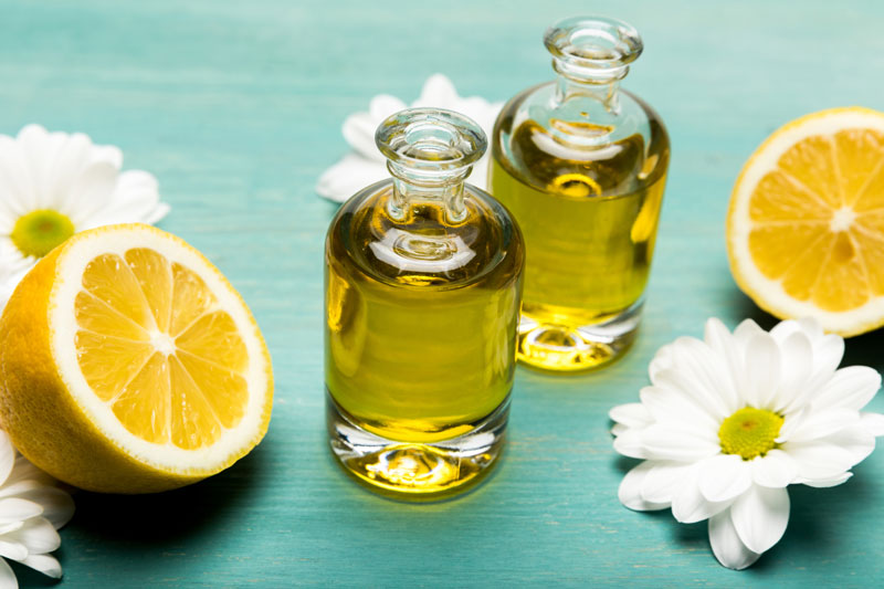 is lemon essential oil safe for dogs