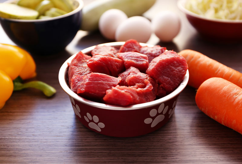A Beginners Guide to a Raw Food Diet for Your Dog