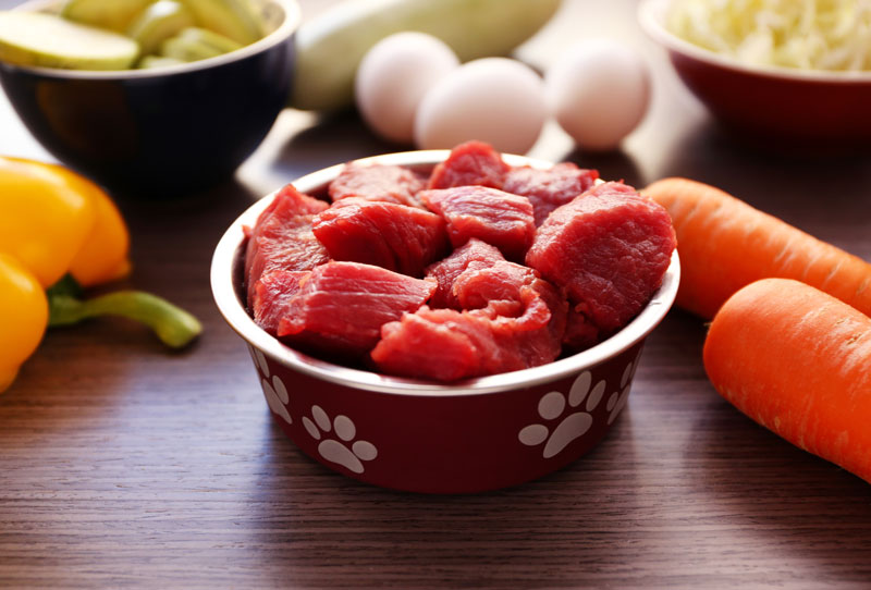 Raw Dog Food for Beginners: A Primer on Raw Food For Dogs · The Wildest