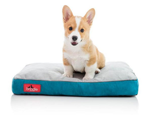 Brindle Soft Shredded Memory Foam Dog Bed