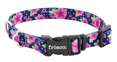 Frisco Patterned Dog Collar