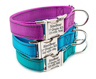 Personalized and Reflective Dog Collar