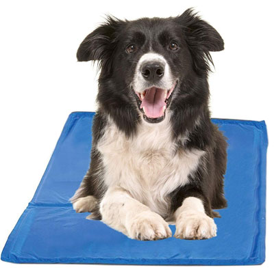 Dog Cooling Pad