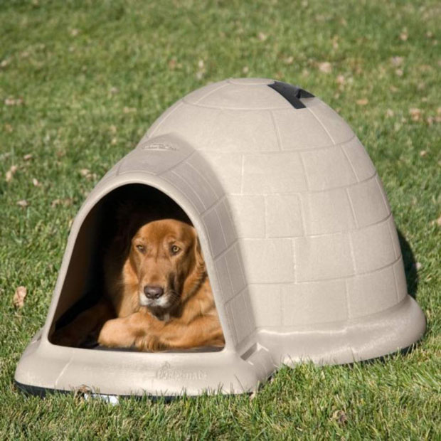 Dog Igloo