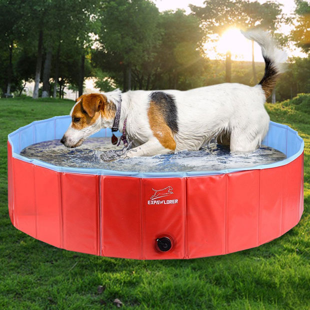 Foldable Dog Swimming Pool