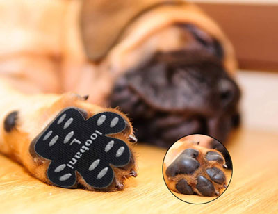 Dog Paw Protector