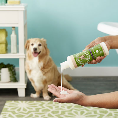 Relaxing Green Tea & Bergamot Dog Shampoo & Conditioner