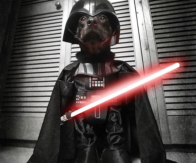 darth karnage