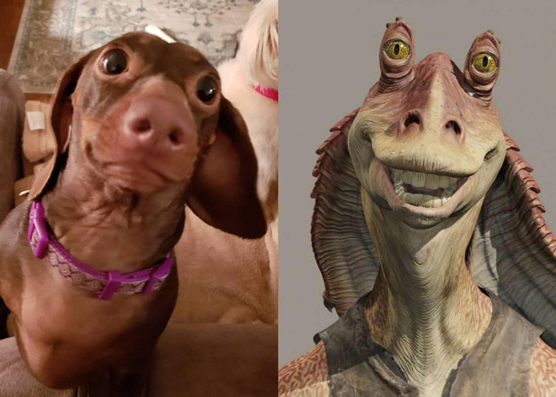 Jar Jar could have had a doglike companion in The Phantom Menace