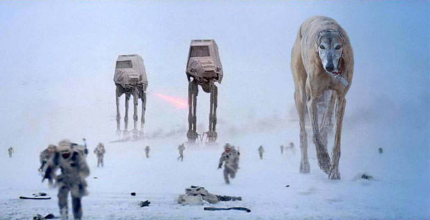 Star Wars Dog Hoth