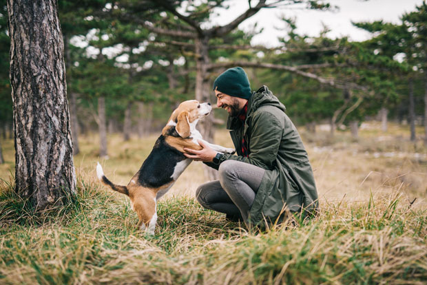 Dogs Can Sense an Owners Emotions