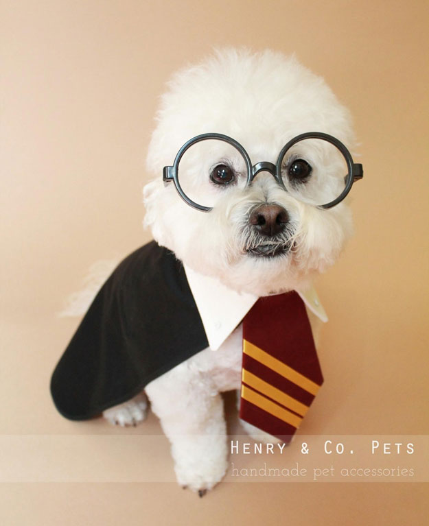 Harry Potter Inspired Dog Costume