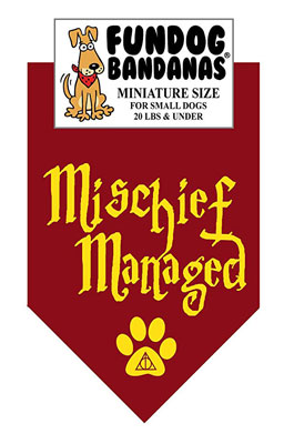 Mischief Managed Dog Bandana