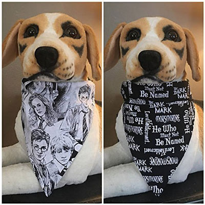 Reversible Harry Potter & Voldemort Bandana