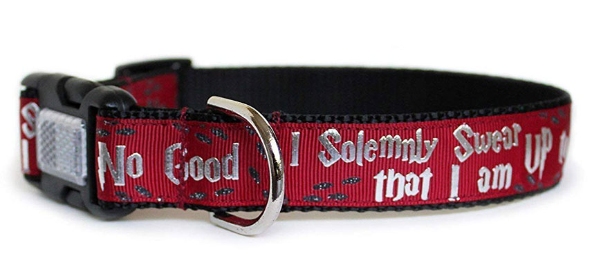 Harry Potter Up to No Good Dog Collar