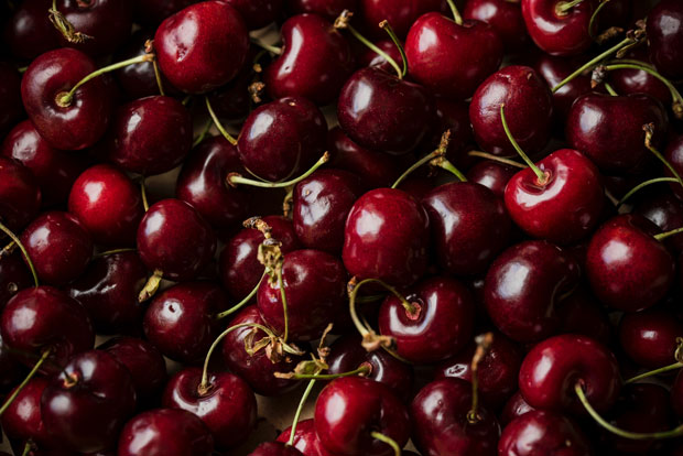 Cherries Toxic to Dogs