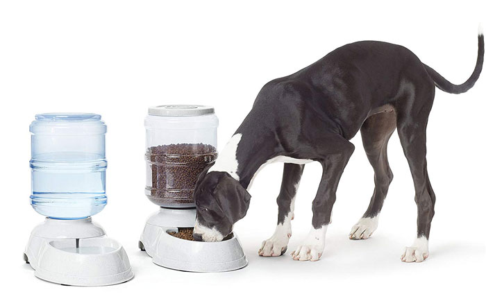 Self-Dispensing Gravity Pet Feeder and Waterer