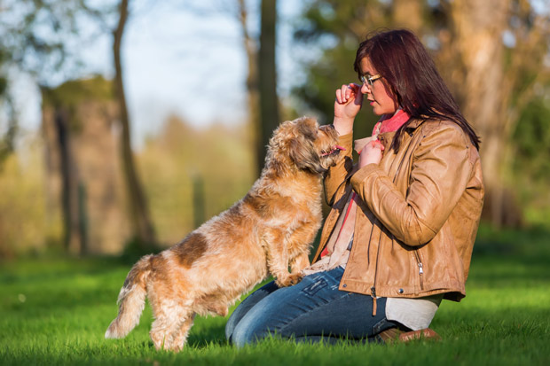 Giving Dog a Treat