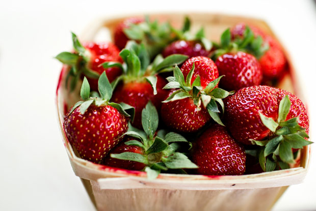 Strawberries for Dogs