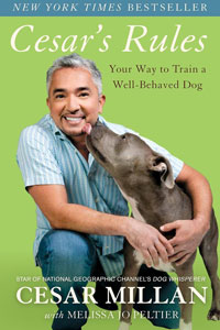 Cesar's Rules: Your Way to Train a Well-Behaved Dog