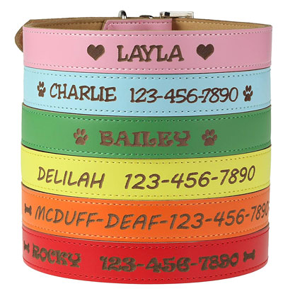 Custom Catch Personalized Dog Collar