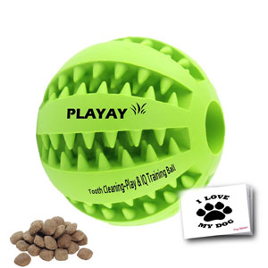 IQ Treat Ball [Chew Toy]