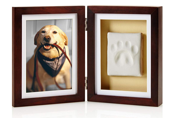 Picture Frame and Paw Print Kit