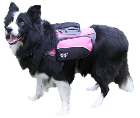 Dog Backpack for Hiking