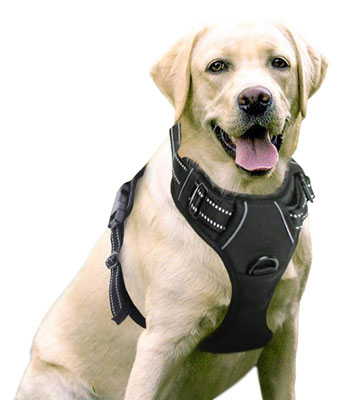 Rabbitgoo Dog Harness No-Pull