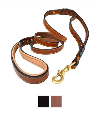 Fairwin Leather Dog Leash