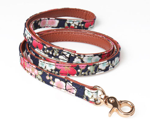 Leepets Dog Collar for Small Dog